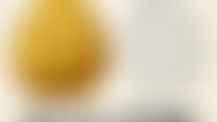 Warum der SV Elversberg klüger spielt als Fortuna Düsseldorf