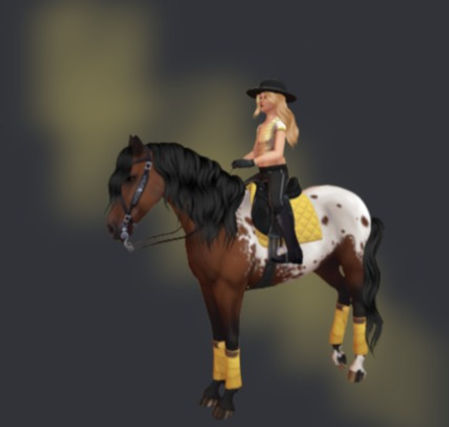 #𝓓𝓻𝓮𝓼   𝓼𝓬𝓸𝓭𝓮 _ Sunny Dressage - Discord 03.11_edited.jpg