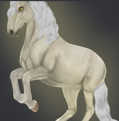 #𝓣𝓮𝓪𝓶𝓹𝓯𝓮𝓻𝓭𝓮 _ Sunny Dressage - Discord 03.11_edited.jpg