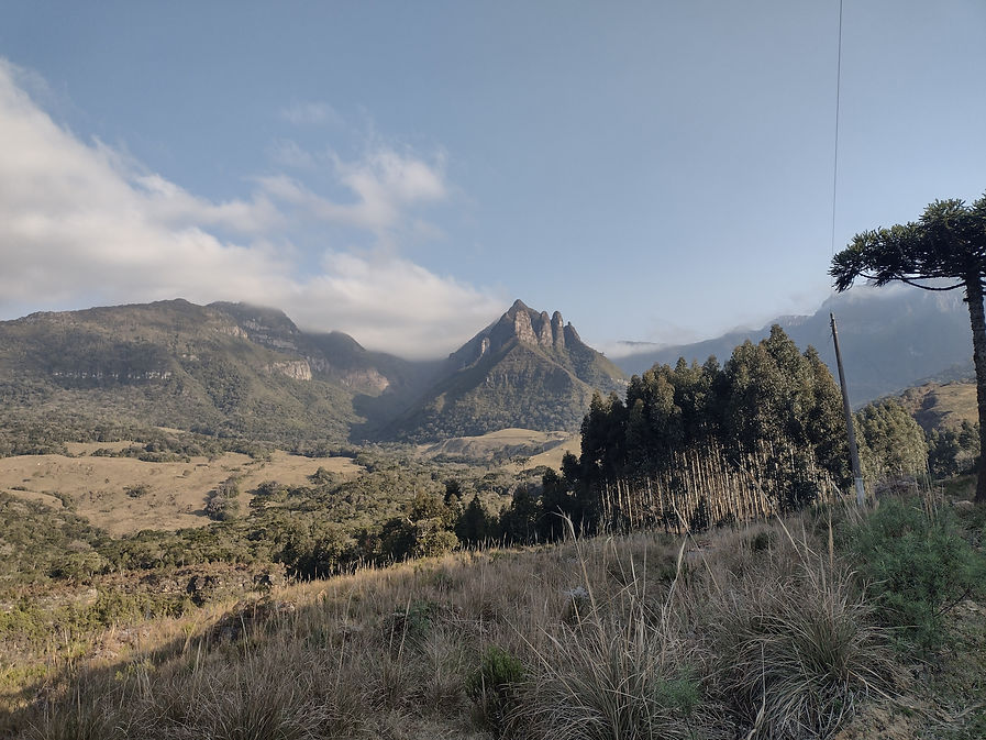 IMG_20210817_160505448_HDR.jpg