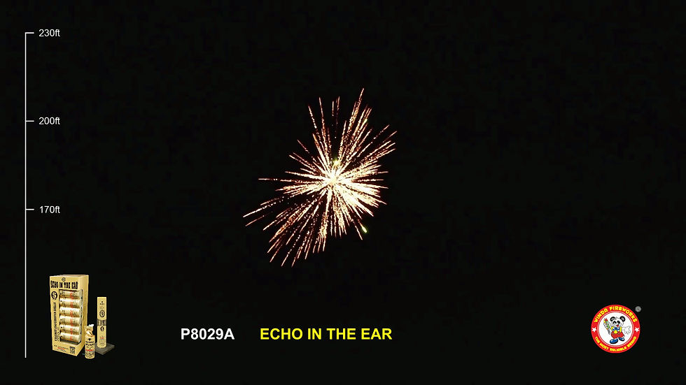 Thumbnail: ECHO in the Ear 6"