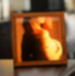 WistyBear_LightWithin_Location_1.jpg
