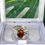 Thumbnail: Reversible Oval Ring-Lge