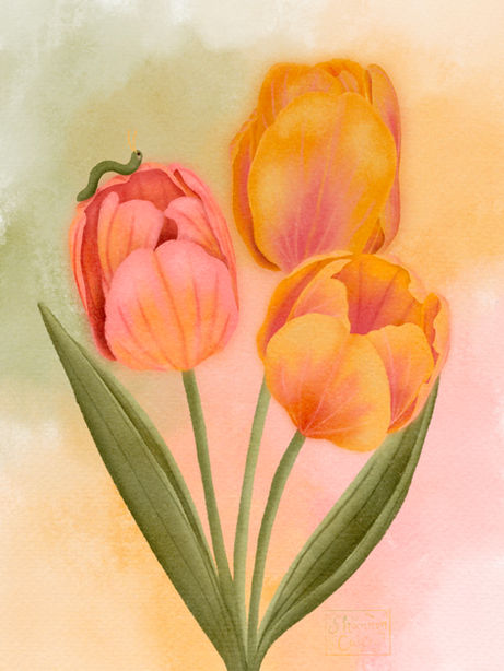 pink and orange tulips with a small green caterpillar