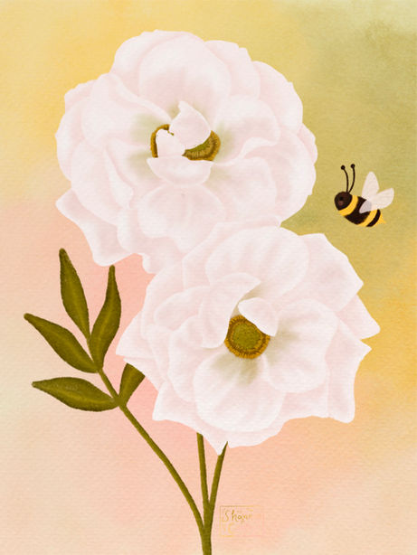white floribunda roses with a friendly little bee