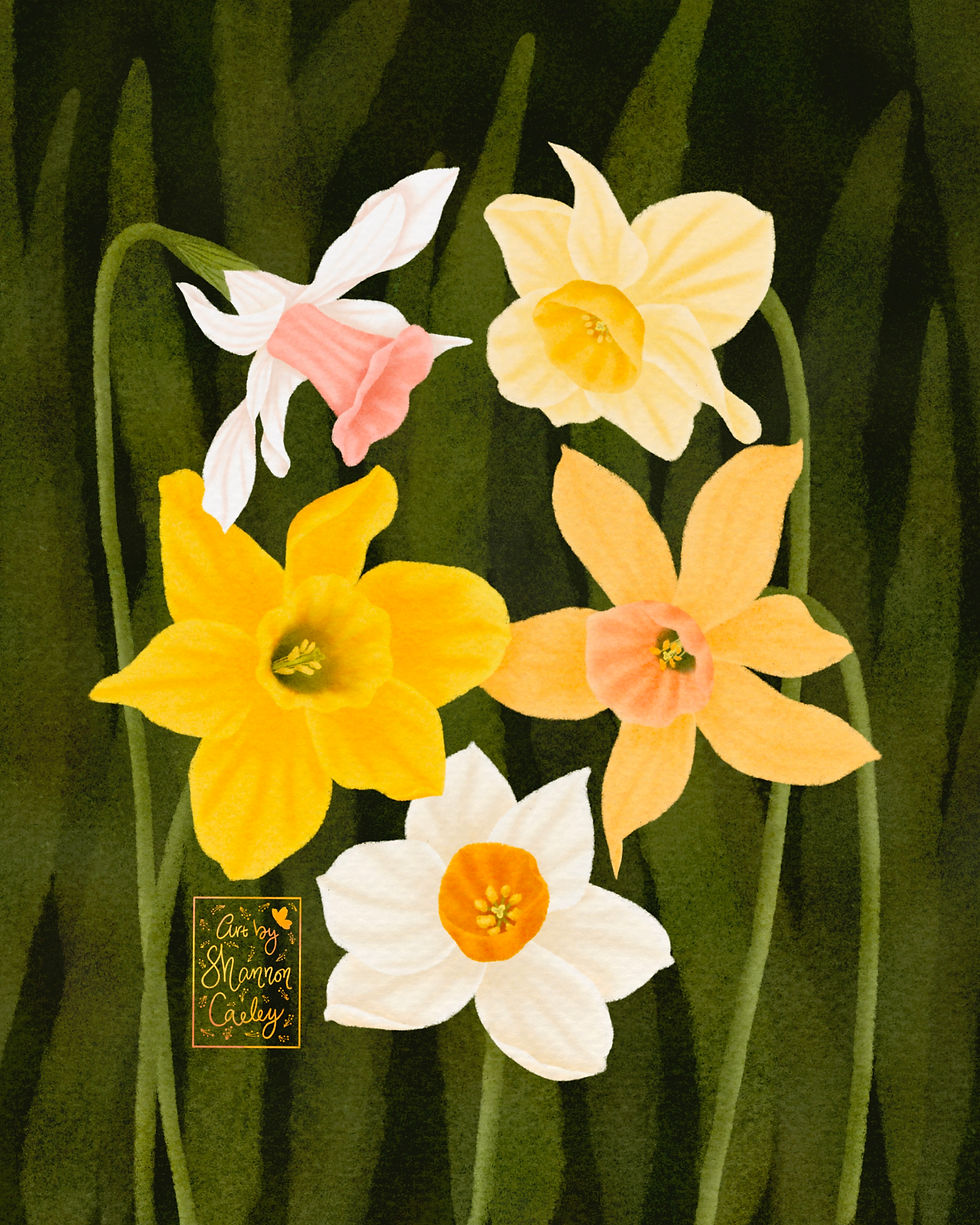 Thumbnail: Forest Floor Prints