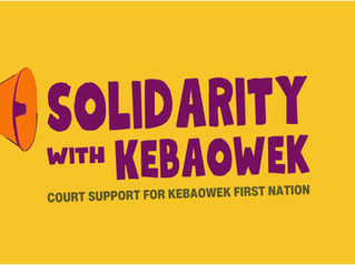Logo with a hand holding a bullhorn at left to broadcast the message "Solidarity with Kebaowek. Court support for Kebaowek First Nation."