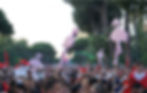 A street filled with protesters, displaying pink flamingo cutouts on sticks and Albanian flags.