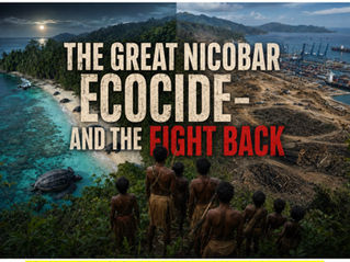 Split-scene illustration of the Great Nicobar Island showing tropical rainforest and nesting sea turtles contrasted with deforestation and port construction, as Shompen Indigenous people watch.