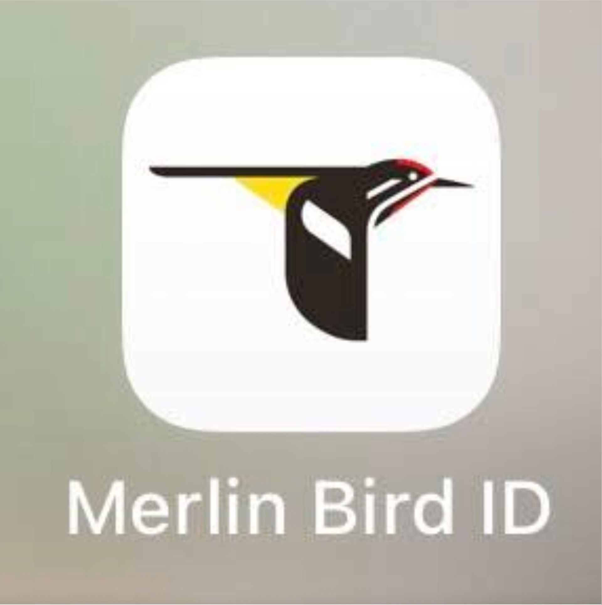 Stylized flying yellow bird with black wings.