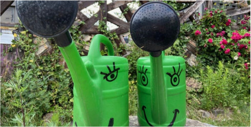 Two bright green watering cans with smiling faces painted on them - the spouts are noses - with plants and flowers in the background.