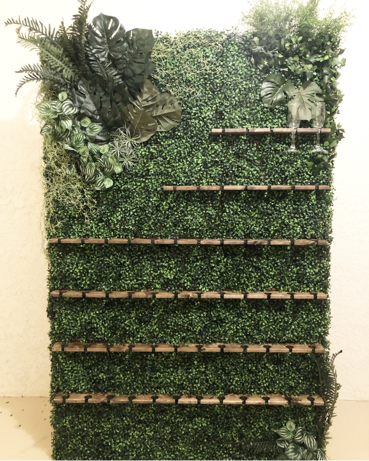 Boxwood Champagne Wall