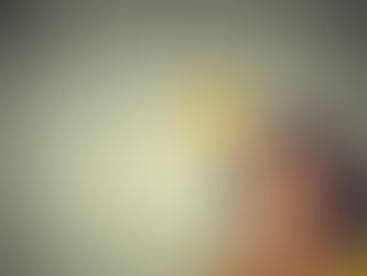 What would apartment livers change?