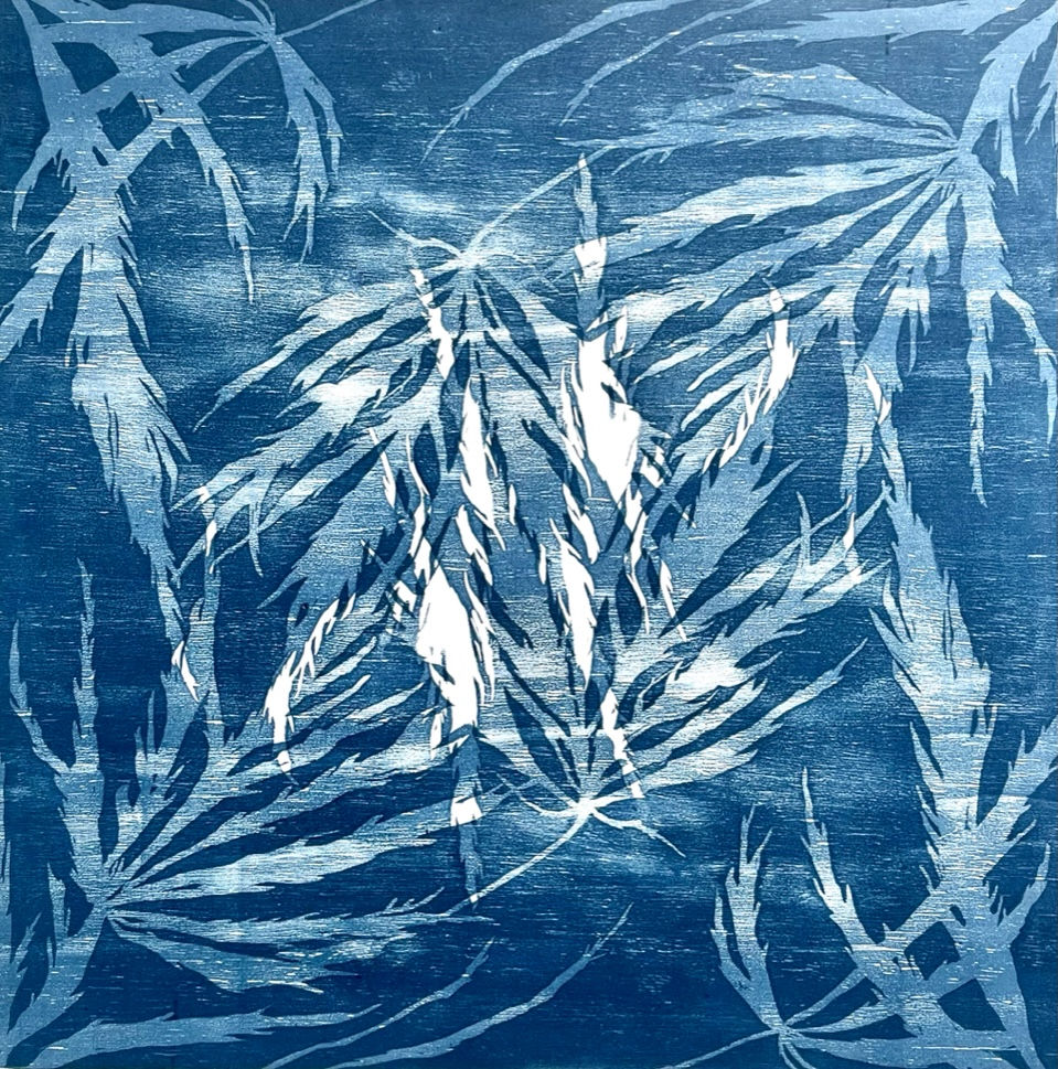 Blue Cutleaf