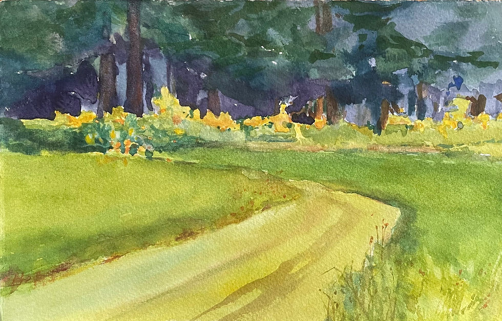 Ellen Hopkins Fountain - Marshfield Pathway 14x17