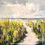 Thumbnail: Beach Path 30x36