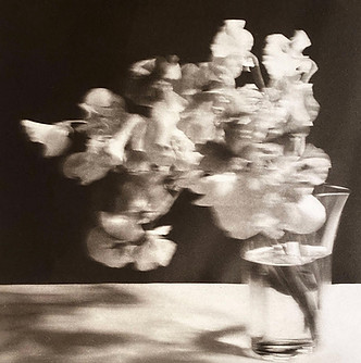Sweet Pea-12x12 inch plate on 20x20 inch paper-Edition of 15-$550 unframed- $850 framed.jp