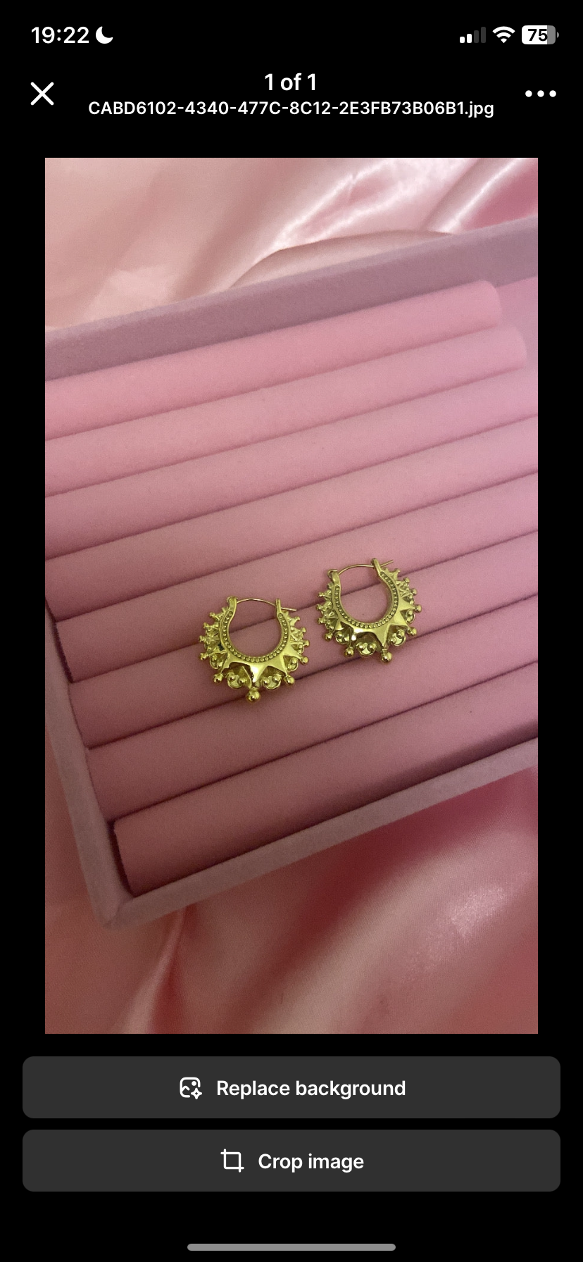 Small hoop earrings 