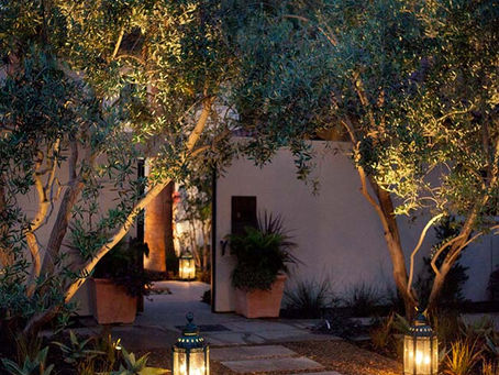 Iluminação de jardim: vejam dicas de como fazer