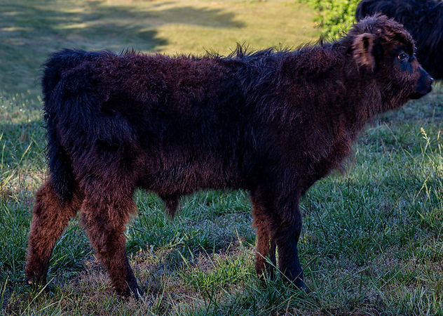 DSC_3647-Edit.jpg
