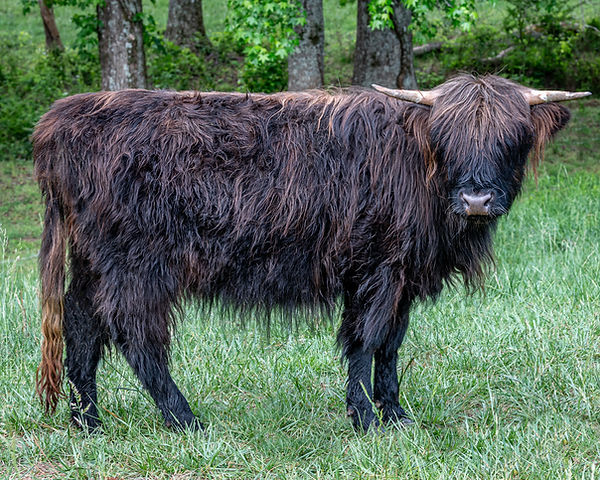 DSC_3547-Edit.jpg