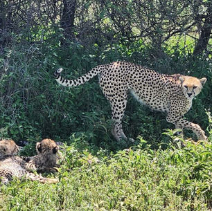 פברואר 2025- זכינו להכיר ורצינו להוקיר