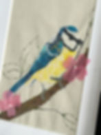 A Blue Tit on a branch with leaves and pink 3D blossom.