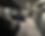 Screenshot 2025-04-21 at 11.23.28 AM.png
