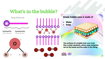 STEM Crafters_ Month 8 (2).png