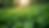 Eye-level view of a lush green garden with diverse plants
