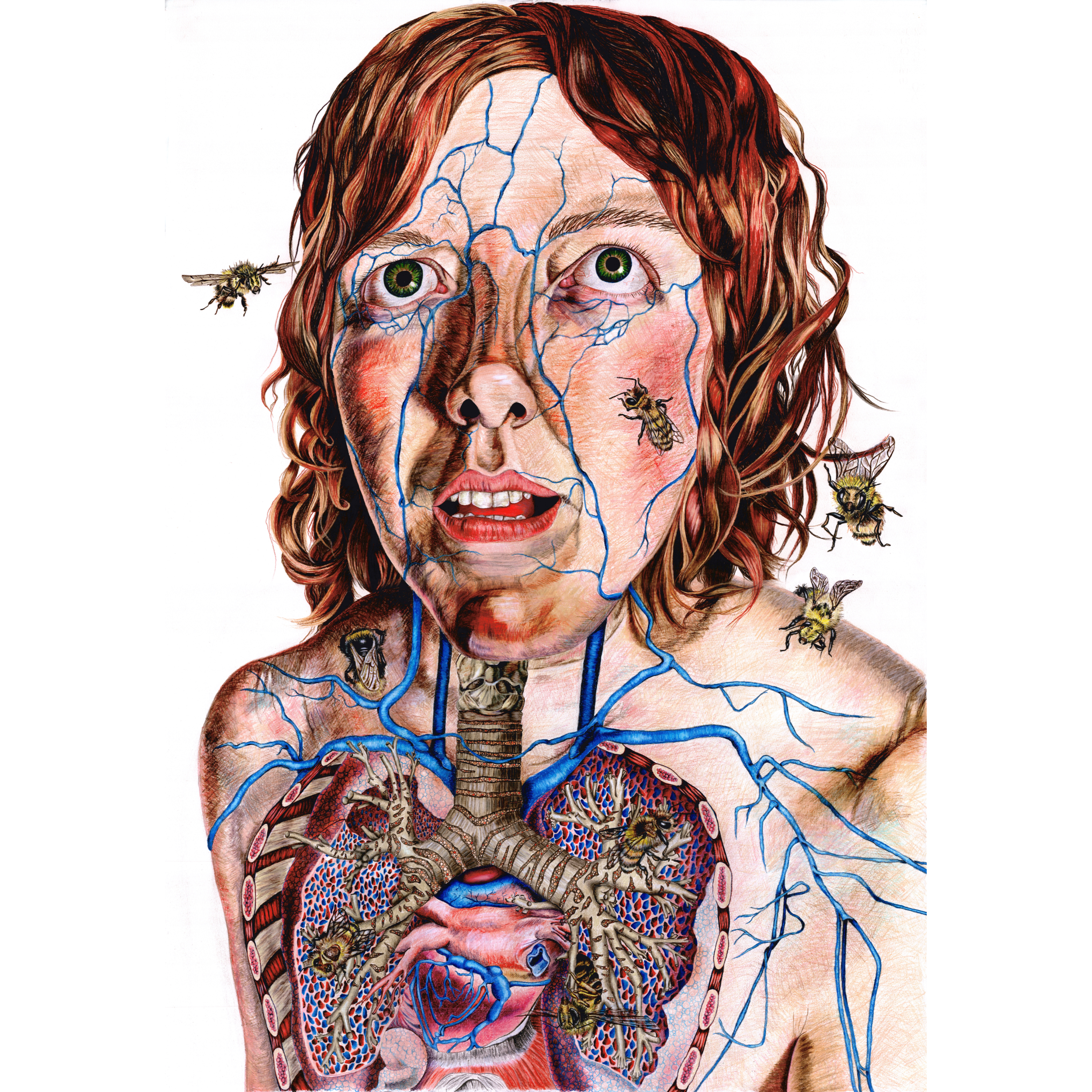 The Inverted Heart (Erin Robinson Grant)