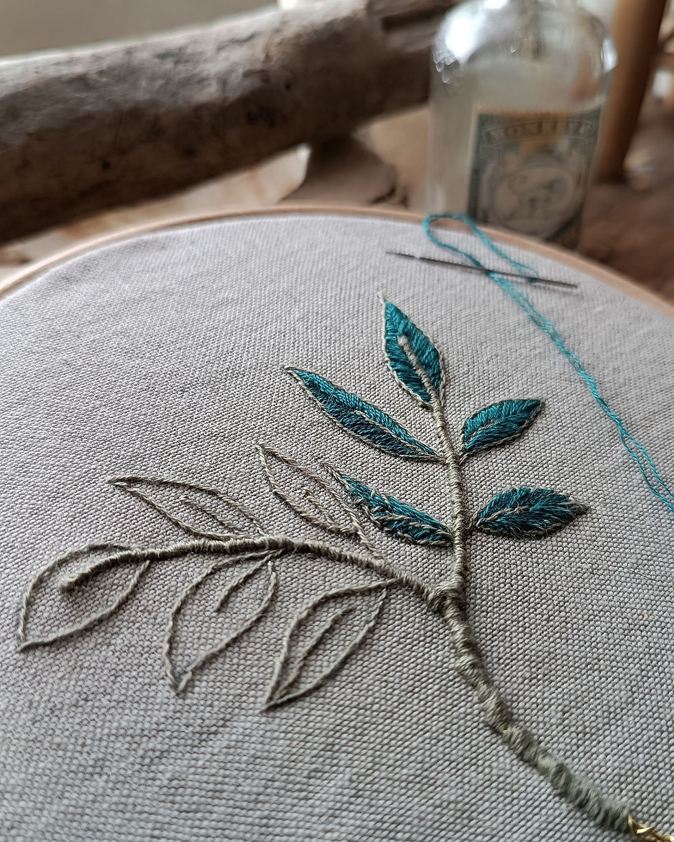 Thumbnail: Elderberry Witch (Pupillae)