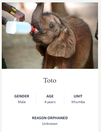 Thumbnail: Toto (Serafine Lilien)