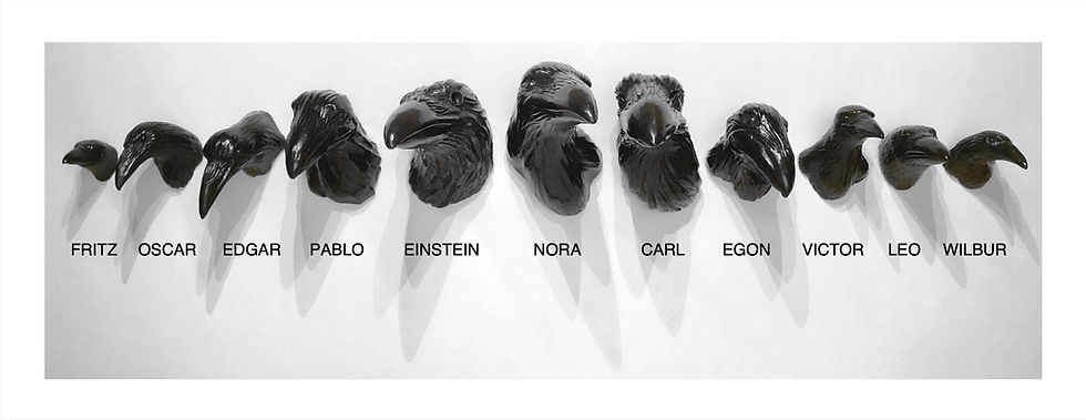 Thumbnail: Egon - Murder of Crows (Steve Eichenberger)