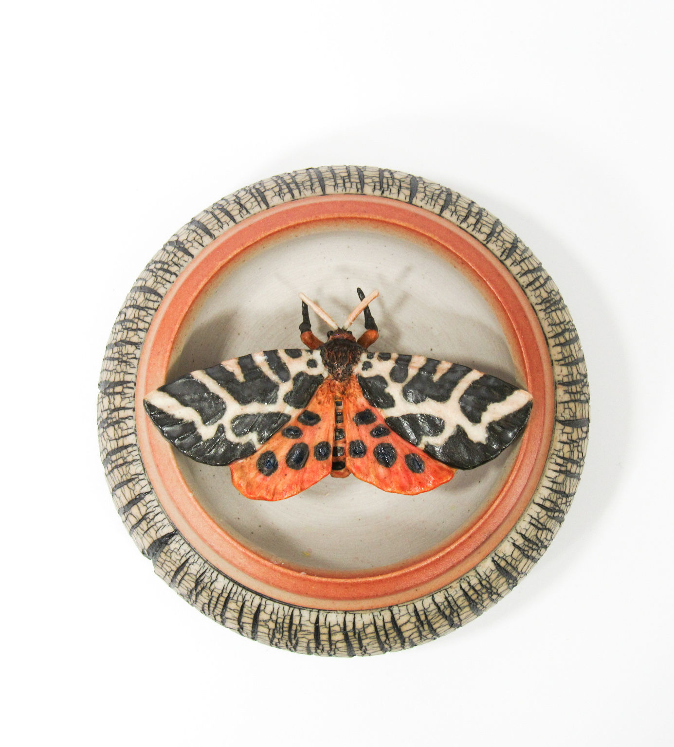 Tiger Moth (Katherine Eksuzian)