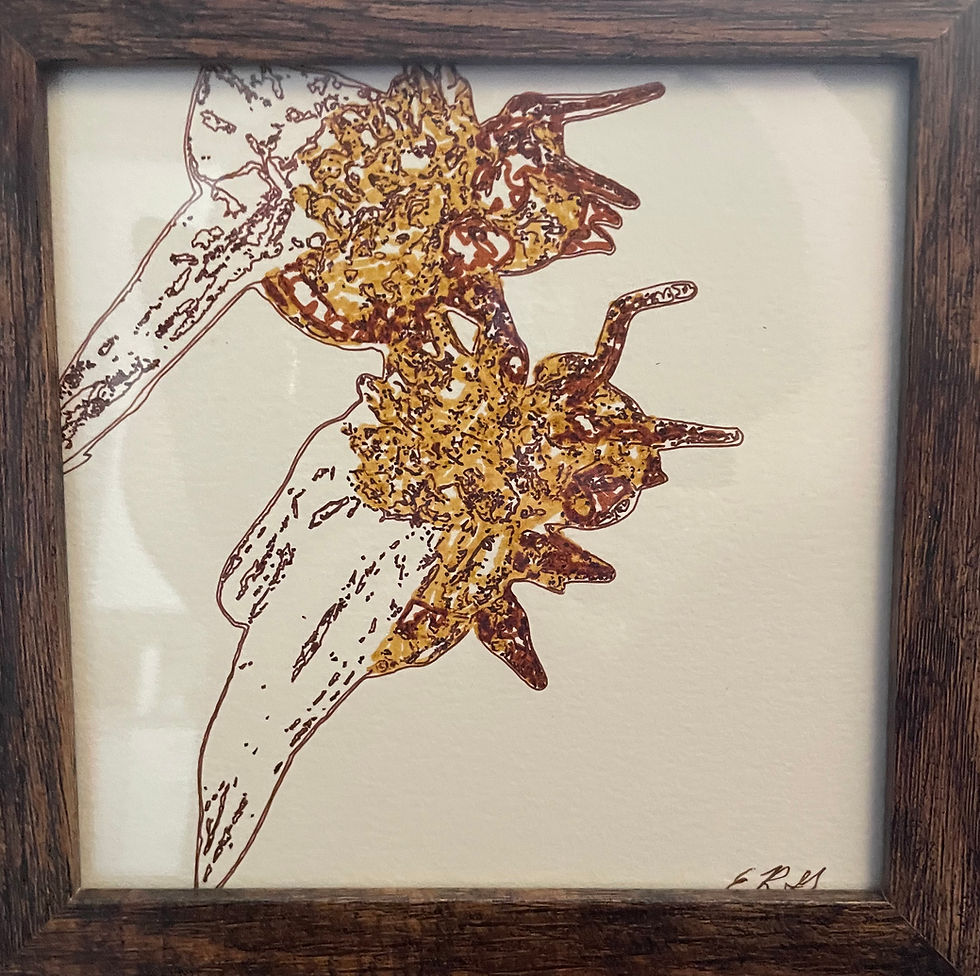Thumbnail: Mechanical Drawing: Bee (Erin Robinson Grant)