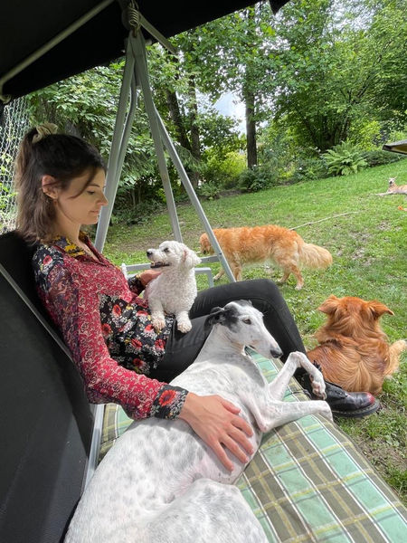 Hundeschule Lernehündisch