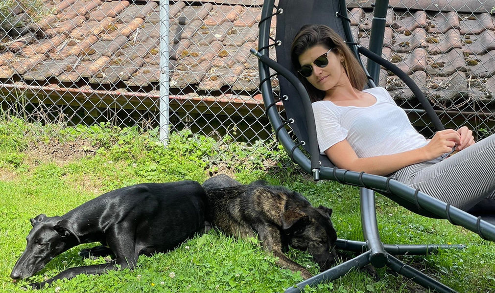 Hundeschule Lernehündisch