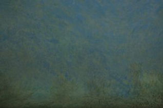 Sea_16.3_x_18_300-2-300x200.jpg