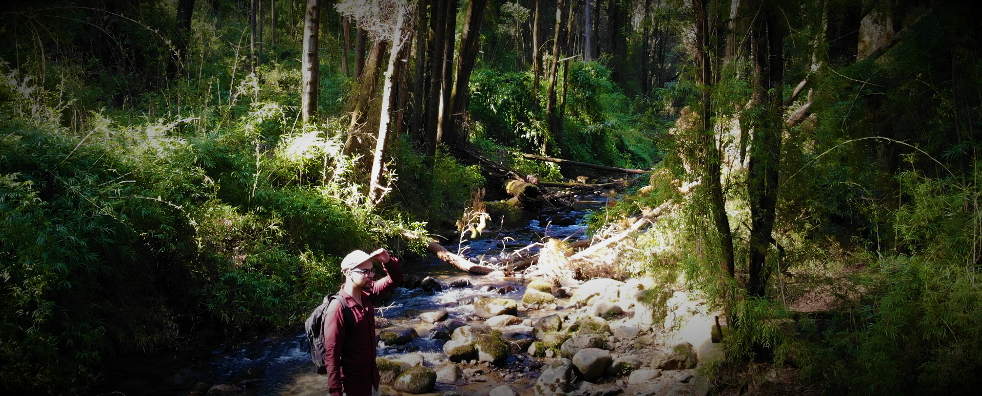 Parque Nacional Nonguen