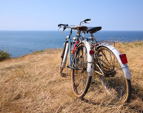 Zwei Fahrräder auf Düne mit Meerblick