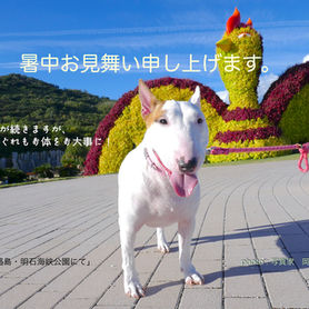 2026年 暑中お見舞い
猛暑が続きますが、
くれぐれもお体をお大事に!
「明石海峡公園にて」