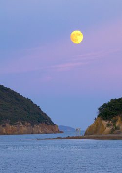 手影島（長島神社）の鳥居と中秋の名月