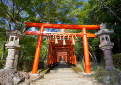 岡稲荷神社の鳥居