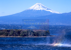 富士山と大風、虹色 の波しぶき(大瀬崎)
作品No.F0025
撮影地 : 静岡県沼津市
撮影年 : 2010年1月1日 露出 : f8.0,1/125
世界文化遺産。伊豆半島西側の冬場の暴風は立っていられないほどの強風で、地元の人たちはその風を「大風」と呼ぶ。
駿河湾の波は立ち、しぶきは空高く舞い上がり、虹色になって吹き上がる。この虹色波しぶきは所々移動していたが、大瀬崎の先端、神池の辺りを通る瞬間を撮る。