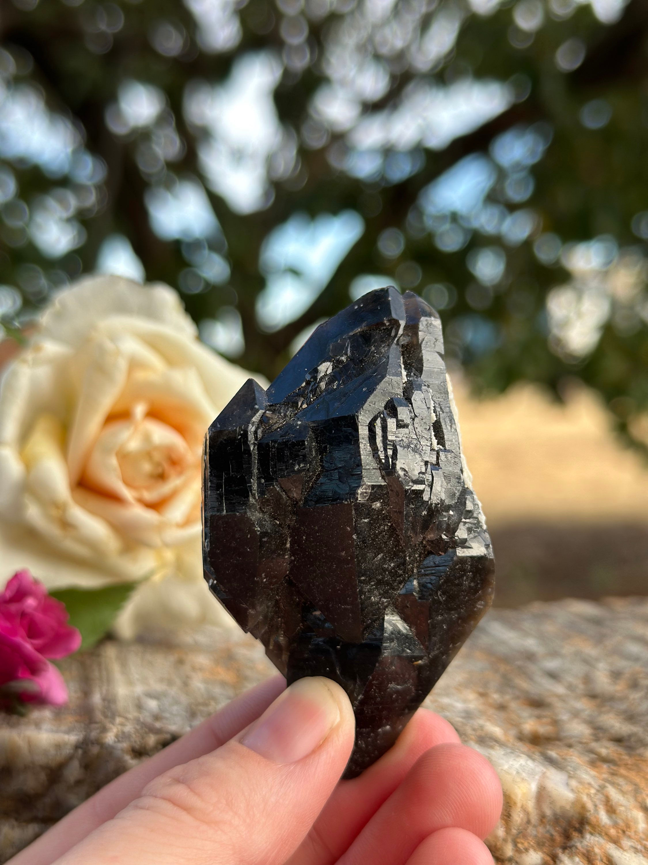 Smoky Quartz Cluster 