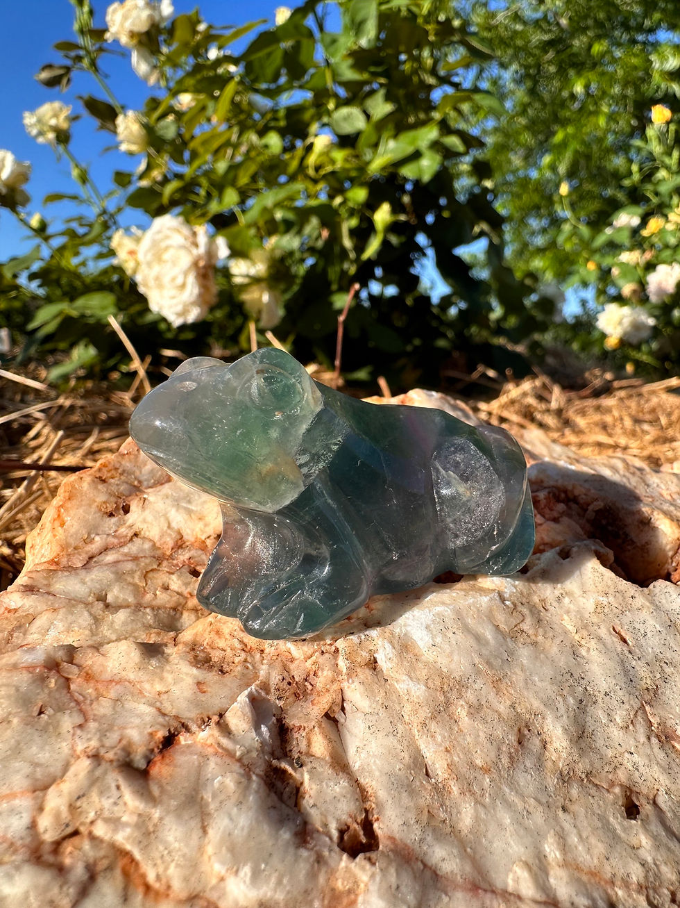 Thumbnail: Rainbow Fluorite Frog 