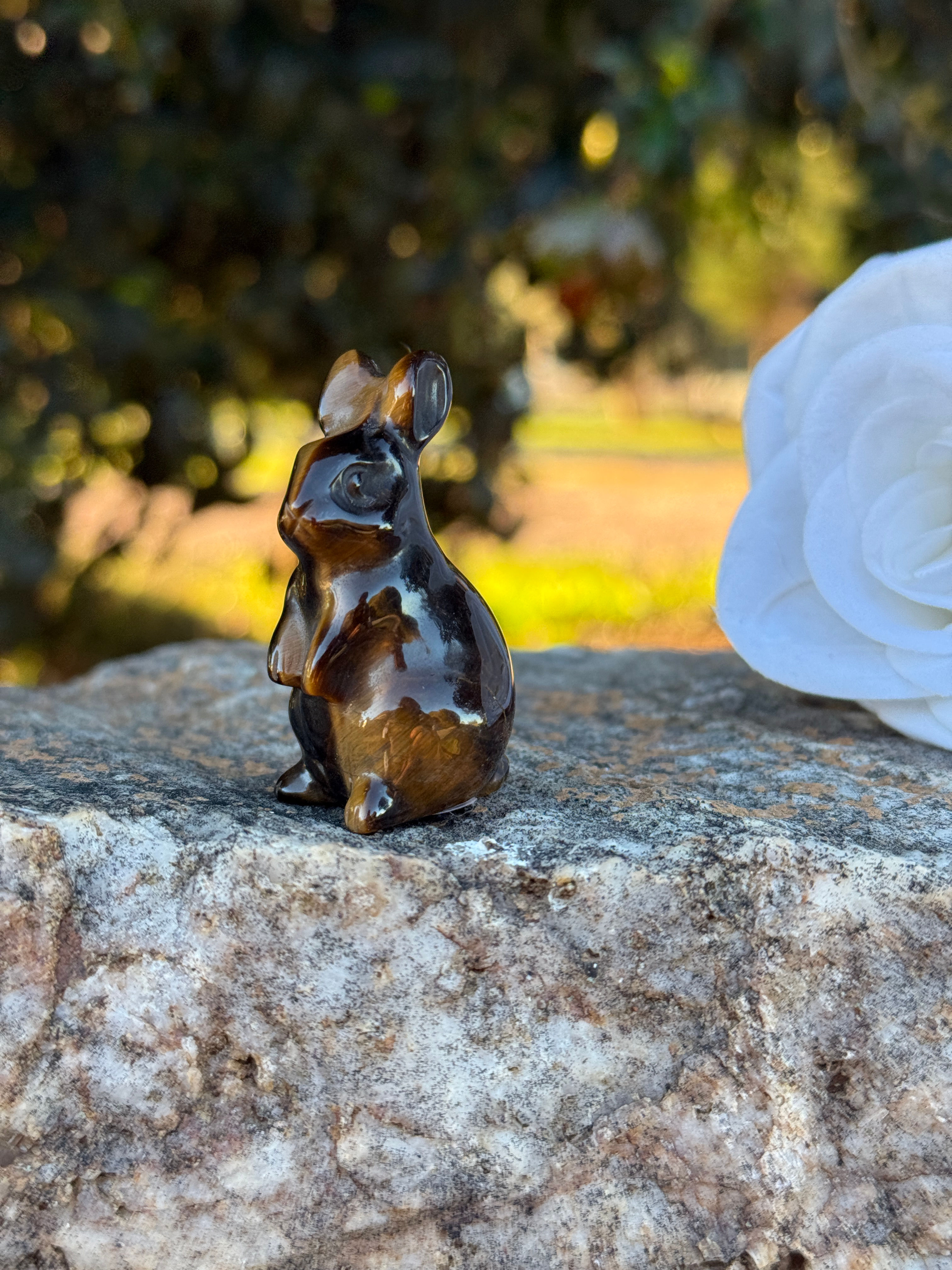 Tiger Eye Rabbit