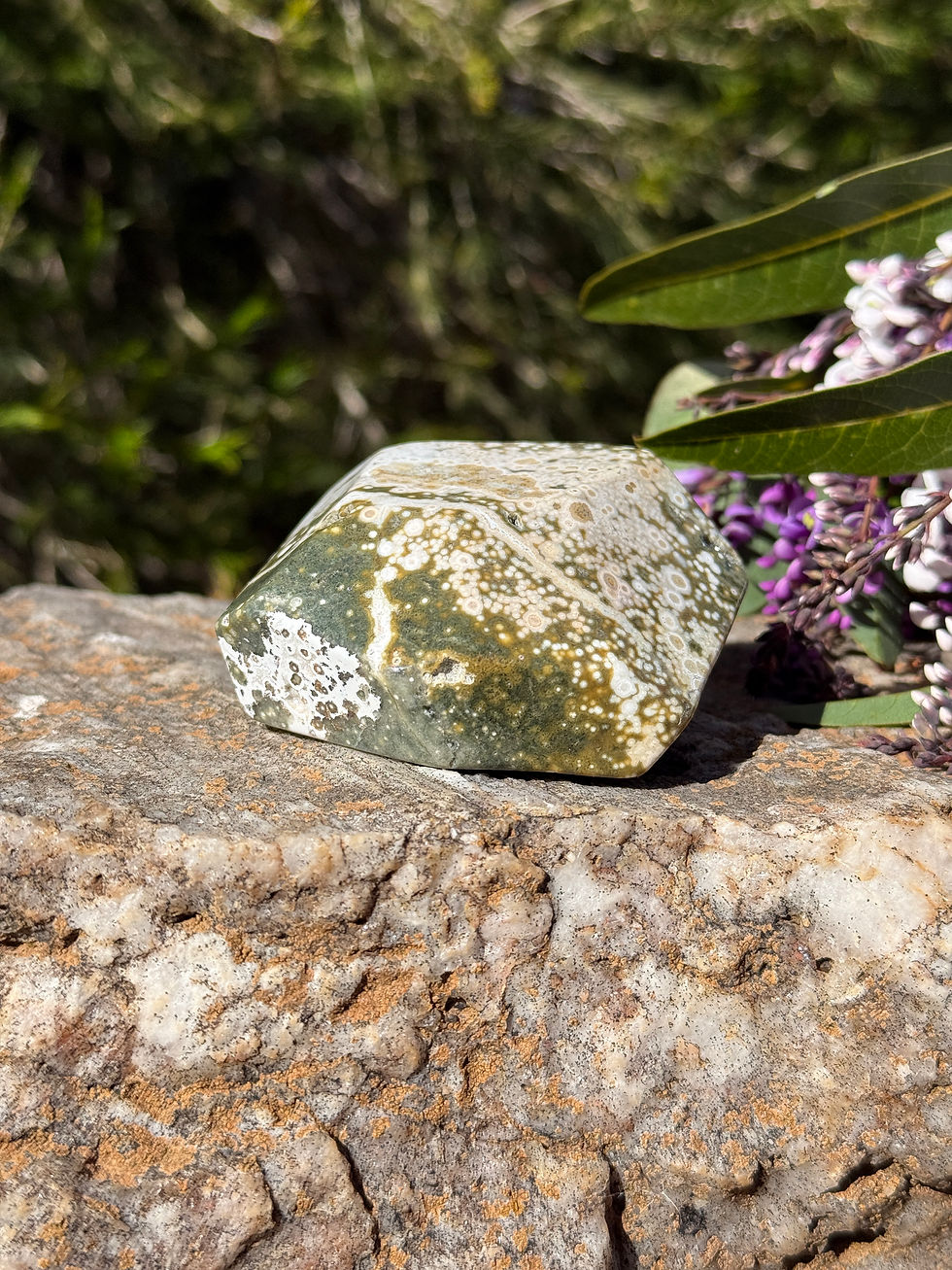 Thumbnail: Ocean Jasper Polished
