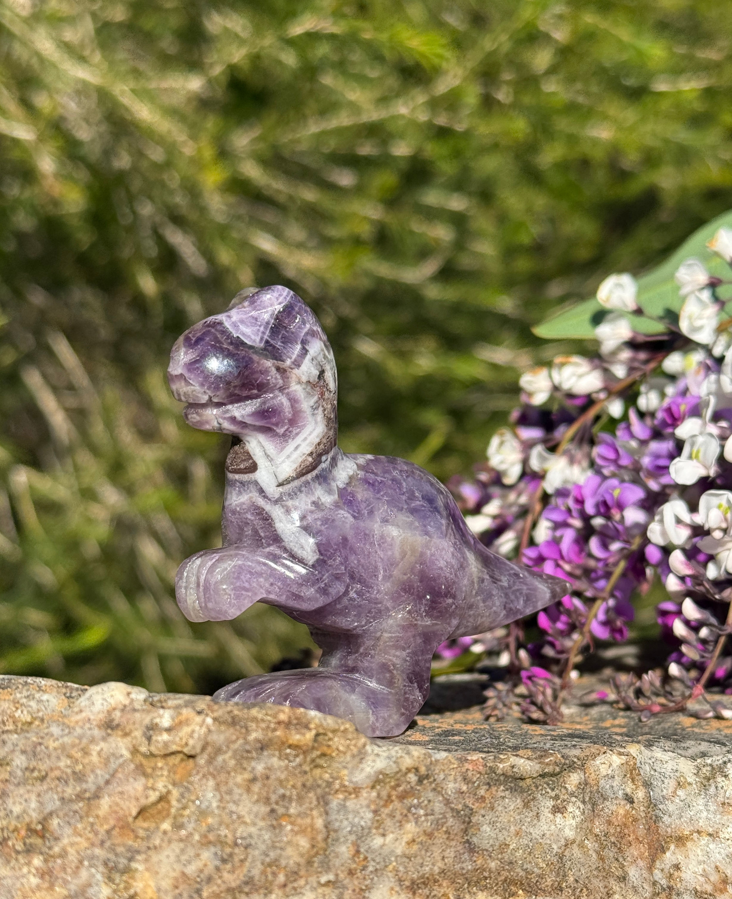 Amethyst T-Rex
